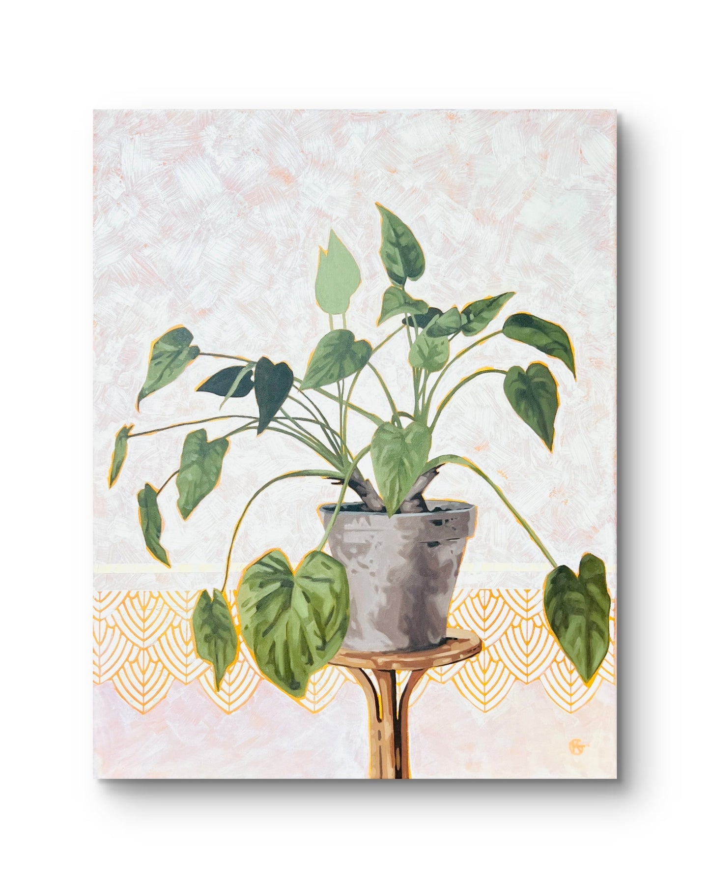 Philodendron