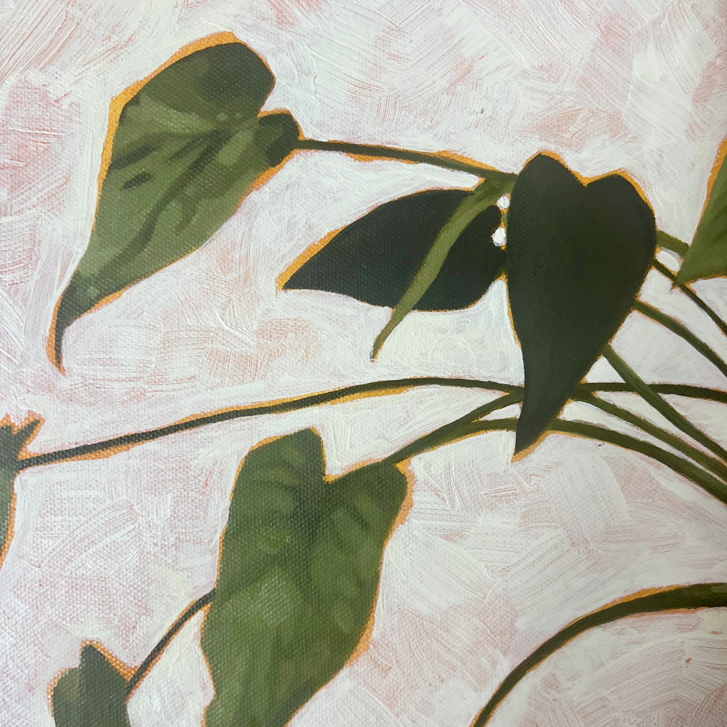 Philodendron